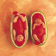 Water melon